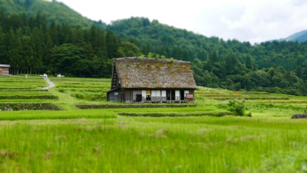 日本家屋